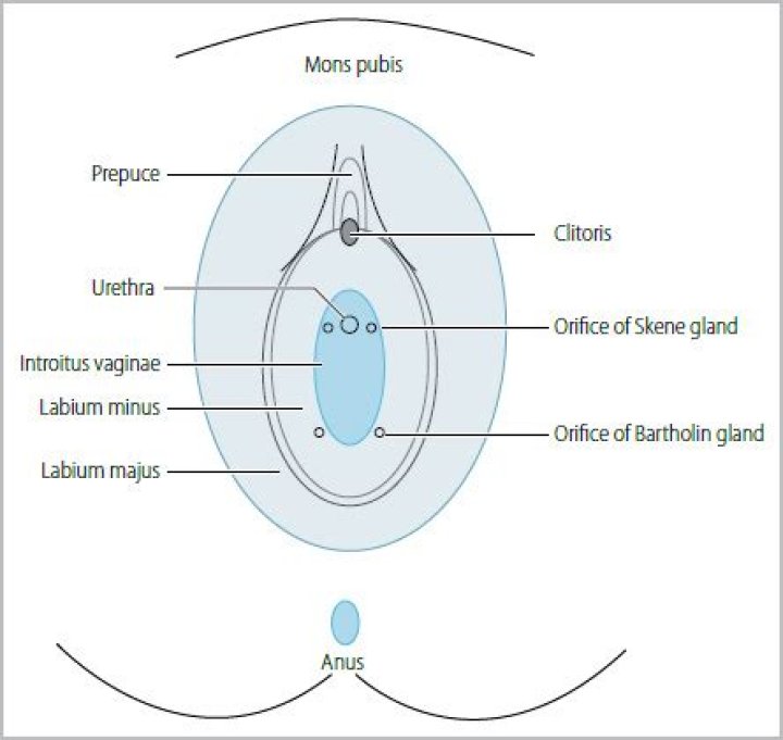 Who Is Marcus Skeen From Lithonia High School And Why Is He Arrested? ·