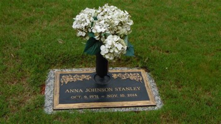 Unveiling The Legacy Of Anna J. Stanley: Discoveries And Insights