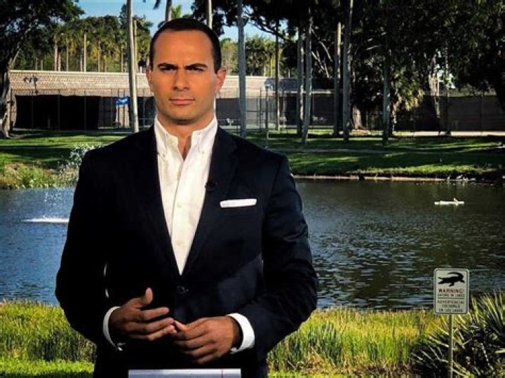 Uncover The Secrets Of Boris Sanchez's Iconic Eyebrows