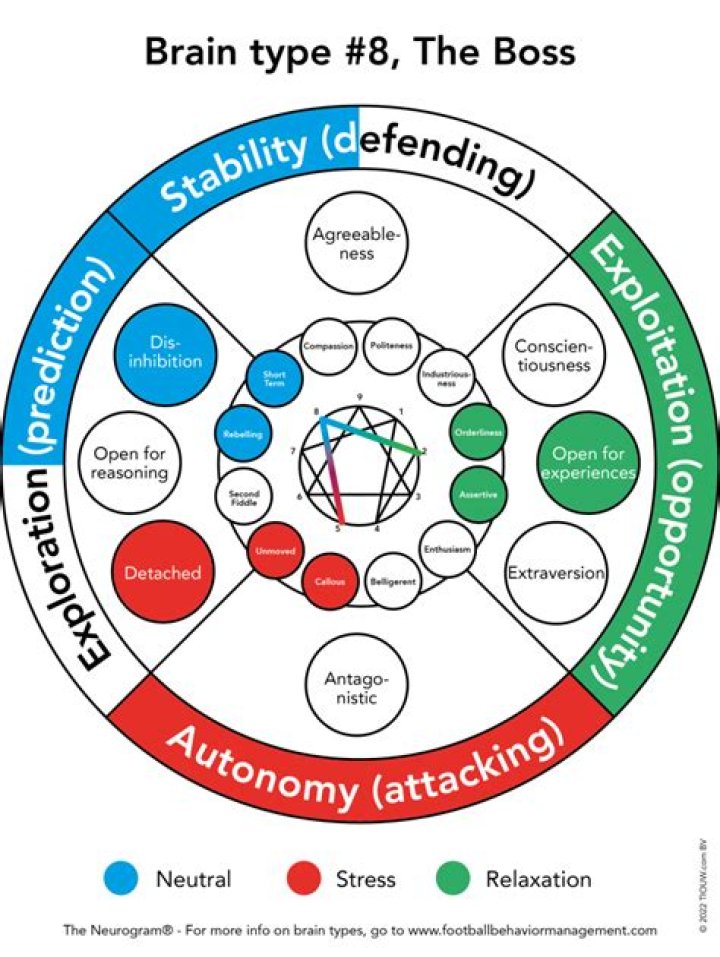 Unlocking The Enigma Of Brain Type 8 Disorder: Discoveries And Insights