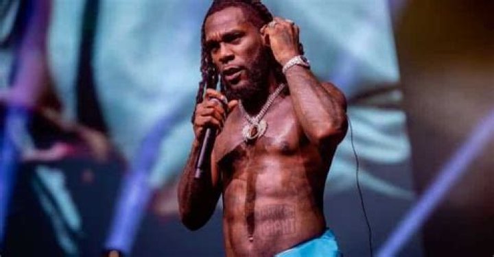 Burna Boy Net Worth | WinkBlog