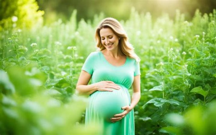 Can You Drink Bloom Greens While Pregnant?