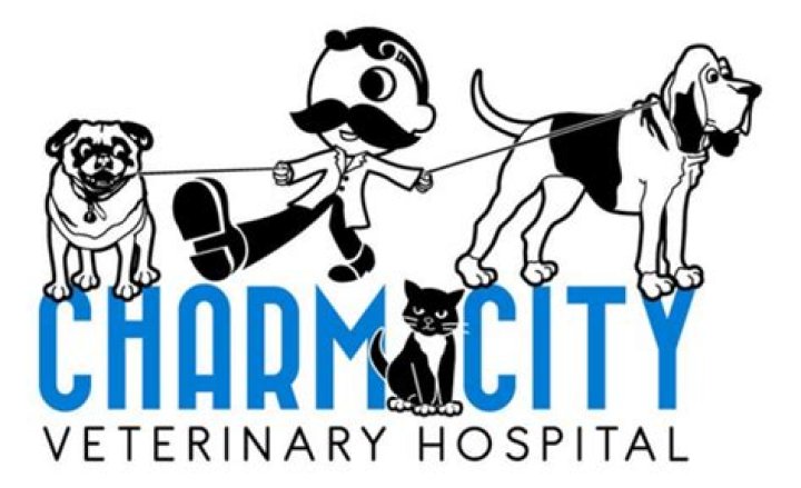 Unlocking The Secrets Of Affordable Veterinary Care With Charm City Vet