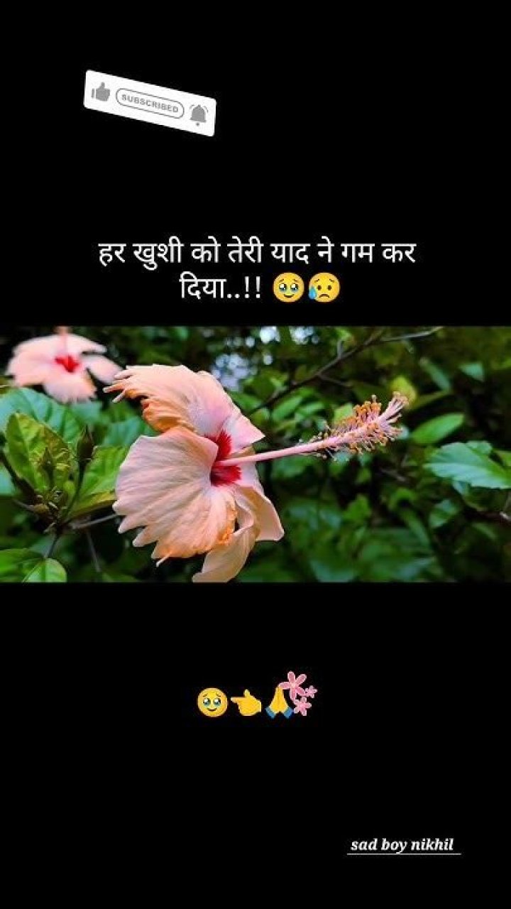 Liz Smith Net Worth |