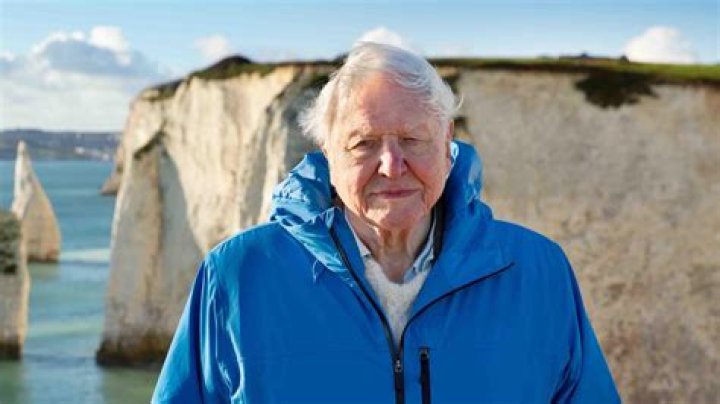 David Attenborough Bio, Age, Parents, Wife, Children, Net Worth