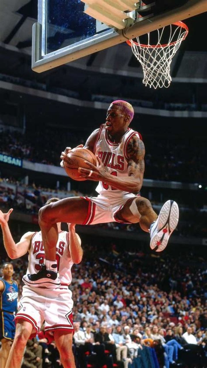 Dennis Rodman's Basketball Pictures Explored