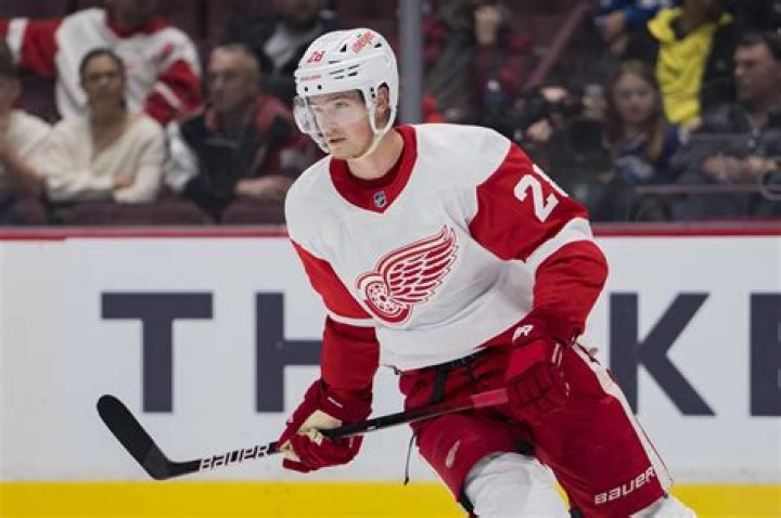 Is Gustav Lindstrom Related To Nick Lidstrom? Family Tree Explored