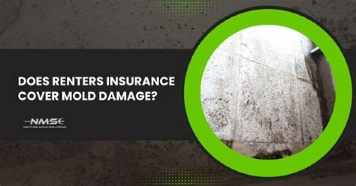 Does renters insurance cover mold damage? ·