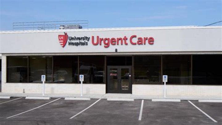 Uncover Cost Truths And Smart Shipping Tips