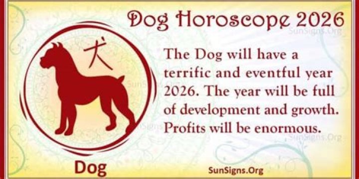 Dog Horoscope 2026 - Luck And Feng Shui Predictions!