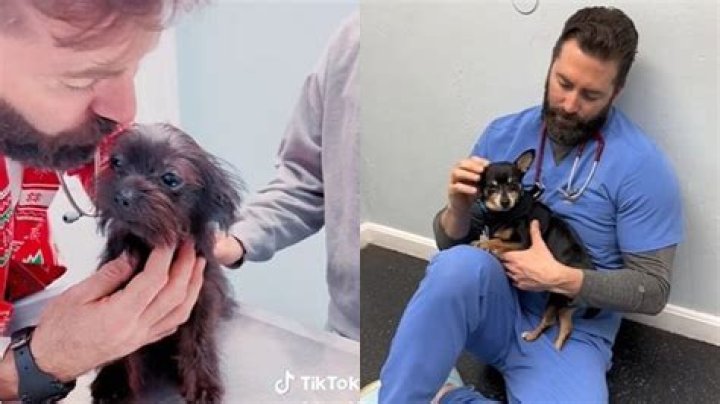 Unlocking The Secrets Of Animal Care With Dr. Tom Veterinarian