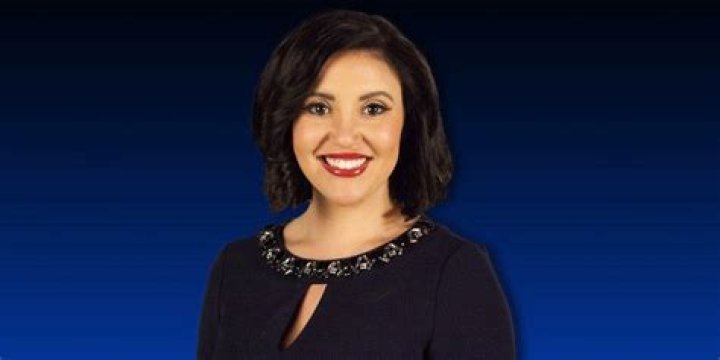 Felicia Combs Ethnicity - Uncovering The Roots Of The Talented Meteorologist