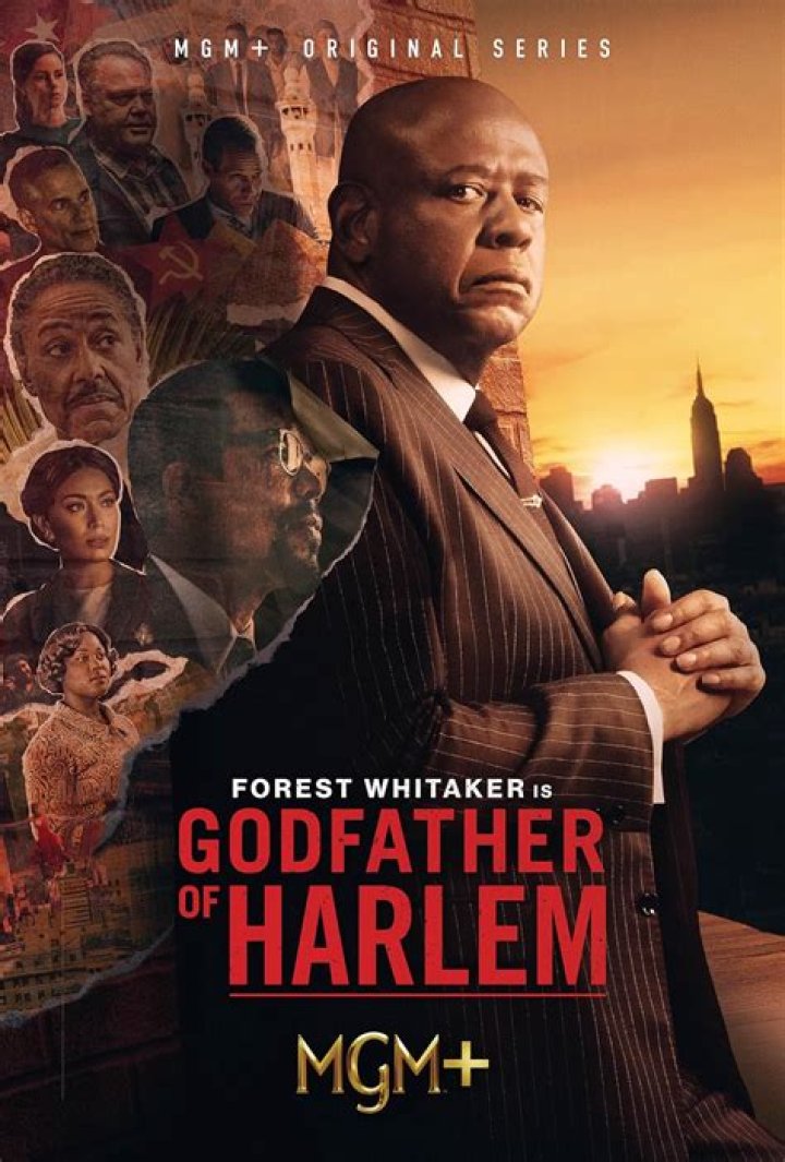 Unraveling The Godfather Of Harlem: A Daughter's Revenge Unveiled