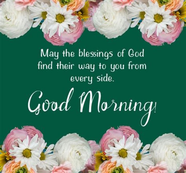 Transformative Insights And Heartfelt Connections