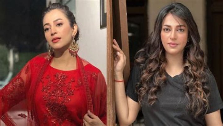 Hiba Ali Khan Biography - Age, Husband, Family, Dramas