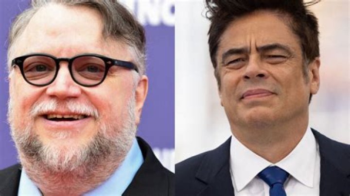 Is Benicio Del Toro Related To Guillermo Del Toro? ·