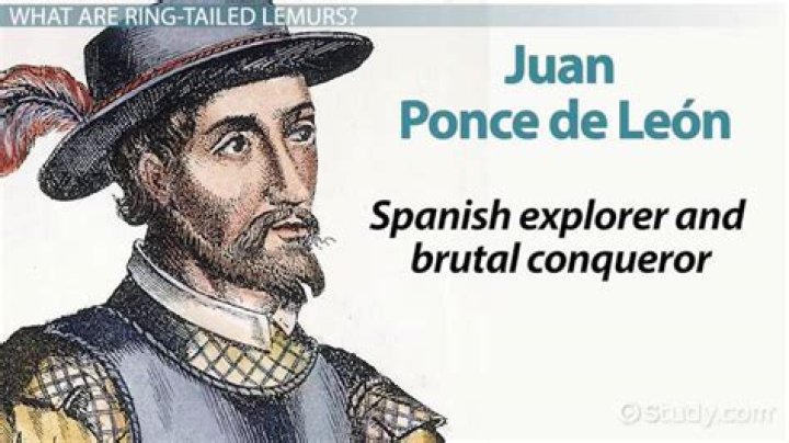 Juan Ponce de Len Biography, Life, Interesting Facts