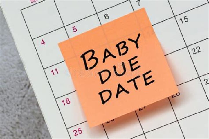 Kat Timpf's Baby Due Date: What You Need to Know