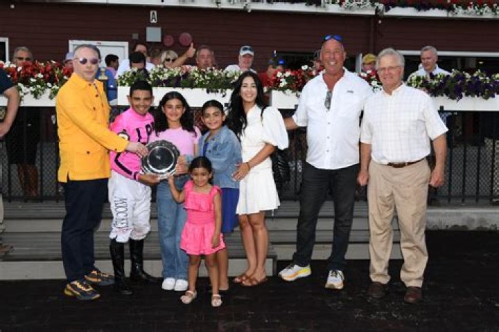 Insights Into Domestic Violence, Mental Illness,