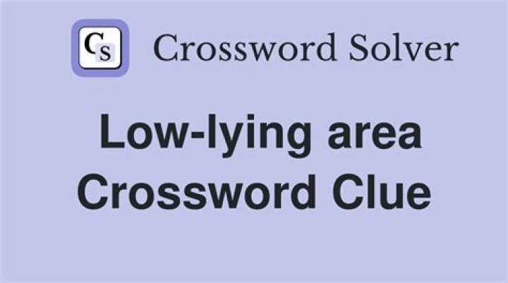 Low-lying area Crossword Clue