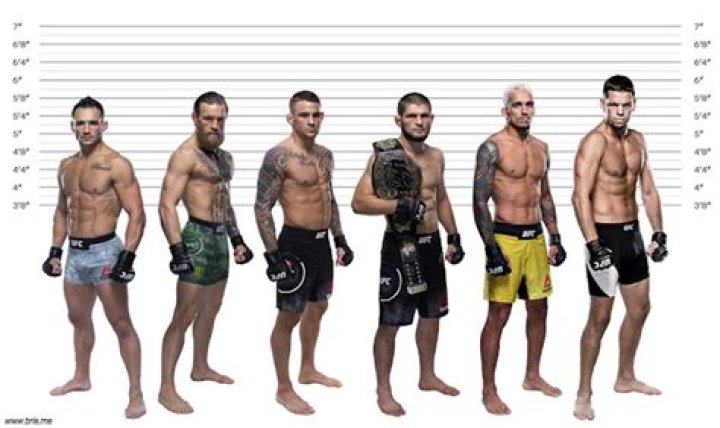 Unveiling Michael Chandler's Height: Uncovering Surprising Insights