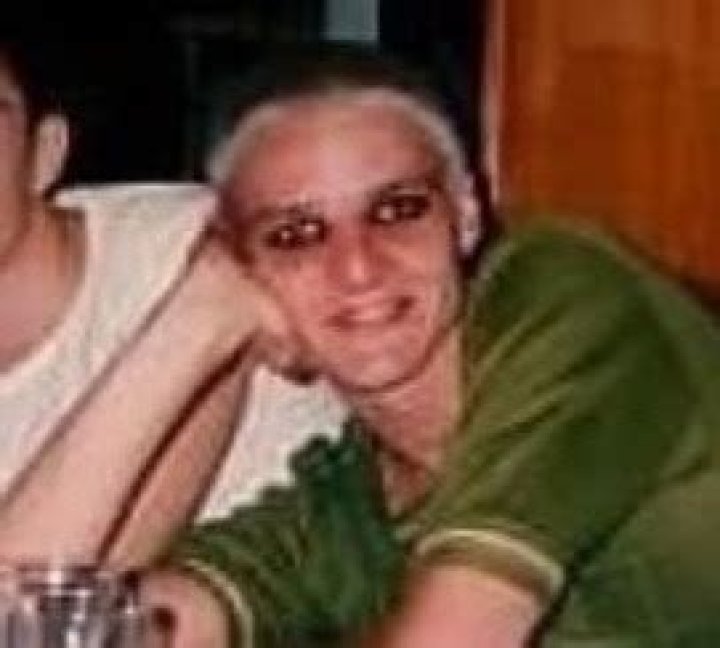 A Journey Of Humor, Fandom, And Cultural Impact