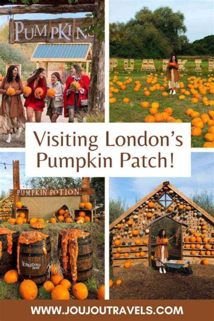 A Journey Of Harvest Delights