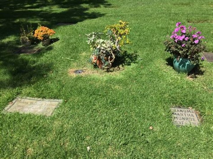 Exploring His Grave's Untold Stories