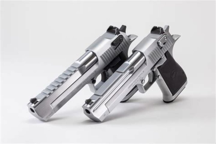 Uncover The Secrets Of Silver Eagle Gun Range: A Target-Rich Exploration