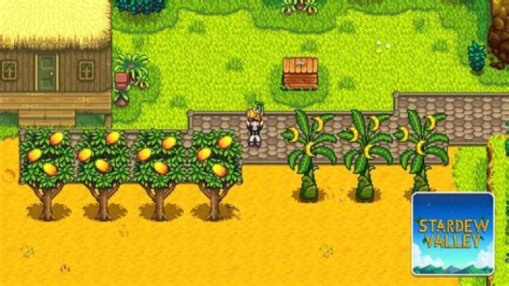 Stardew Valley How to get a Chicken Coop and Upgrade It