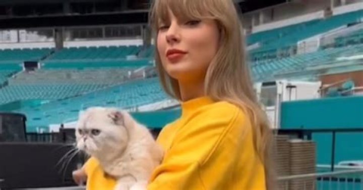 Unveiling The Meaning Behind Taylor Swift's Cats' Names