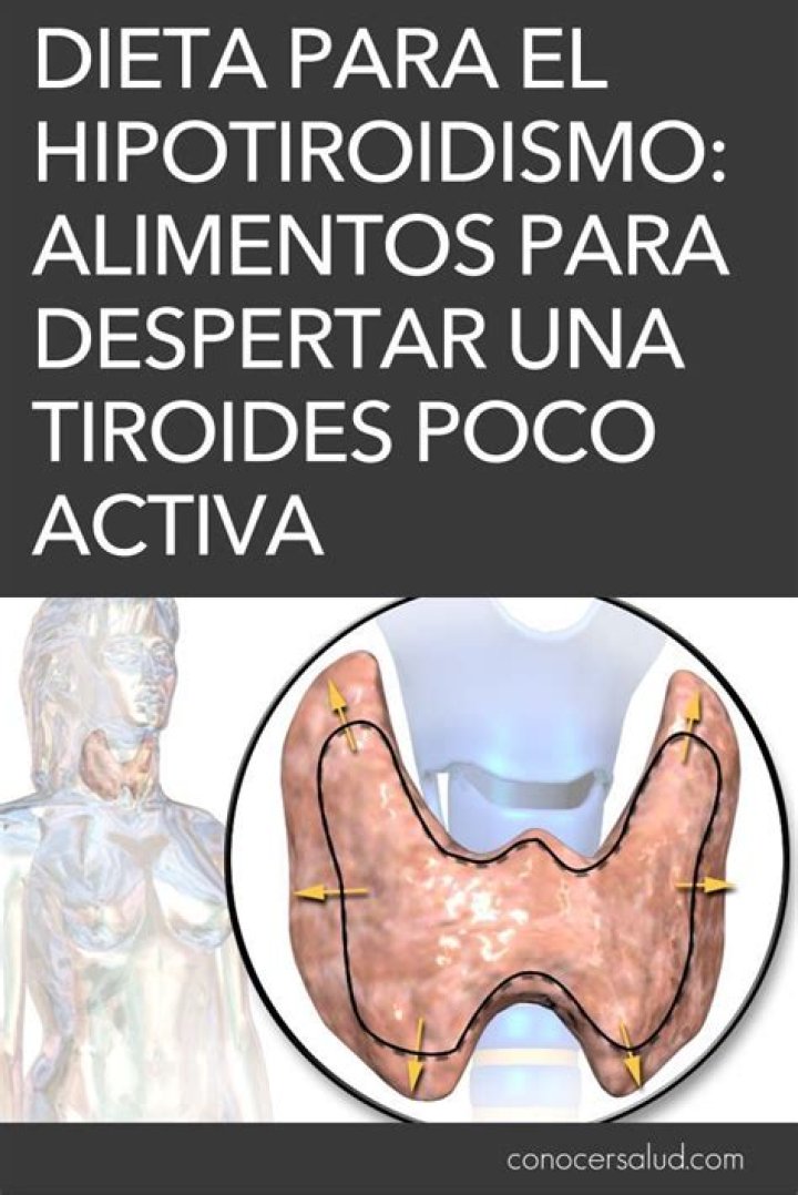 Unlock The Secrets To Thyroid Health With Te Tiroides Turbo Dra Amy