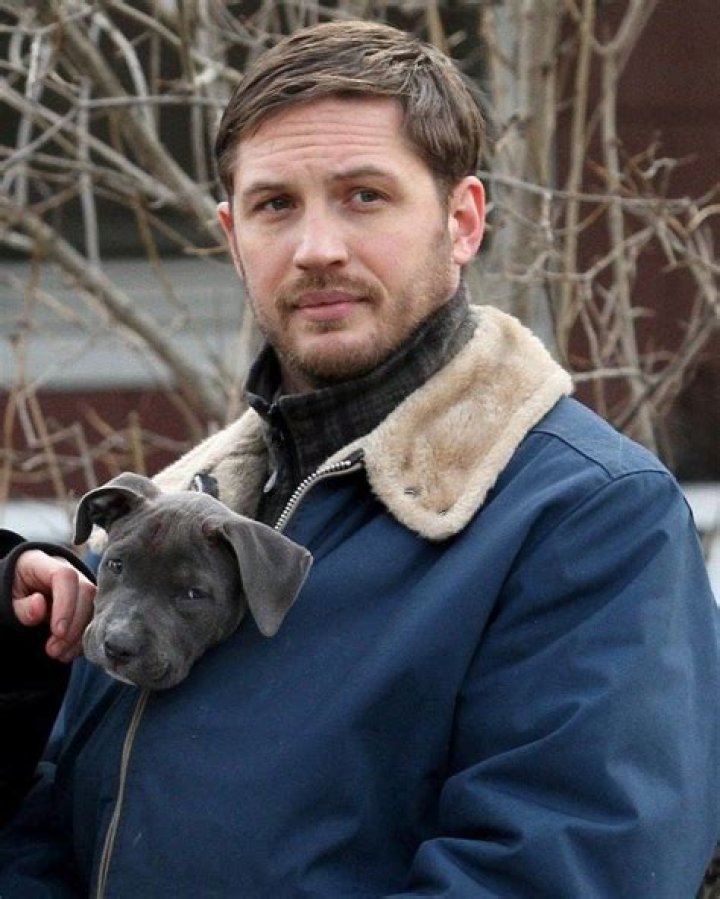 Unveiling The Enchanting World Of Tom Hardy Puppies: A Journey Of Discovery