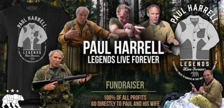 A Beacon Of Expertise ·