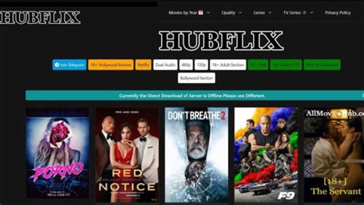 Unleash Your Entertainment with Hubflix: The Ultimate Streaming Experience