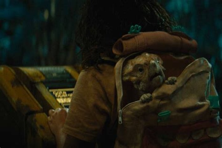 The Tragic Fate Of Audrina's Niece Revealed