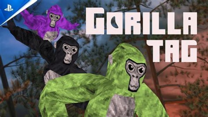 Who is the Best Gorilla Tag Player