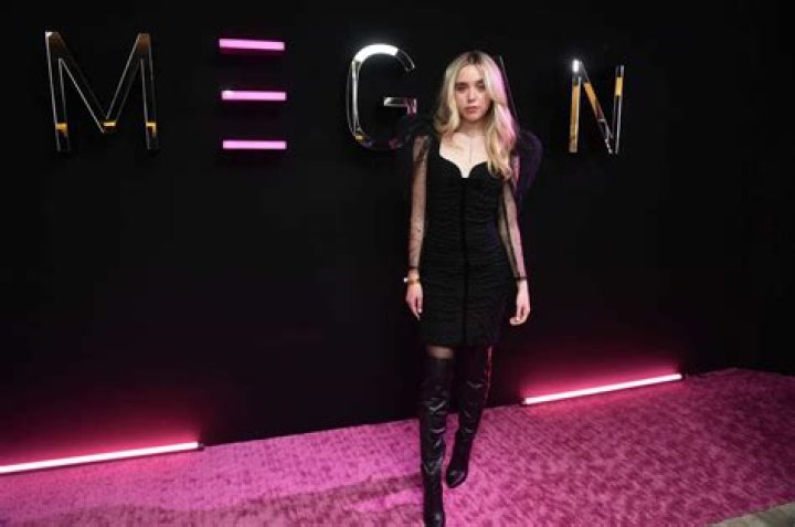 Unveiling The Voice Behind Megan: Discoveries And Insights