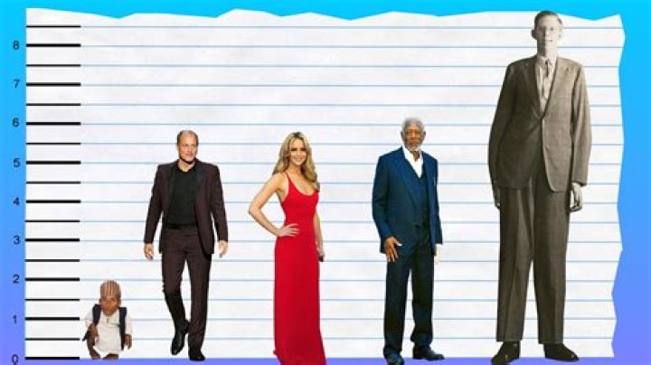 Woody Harrelson Height And Weight